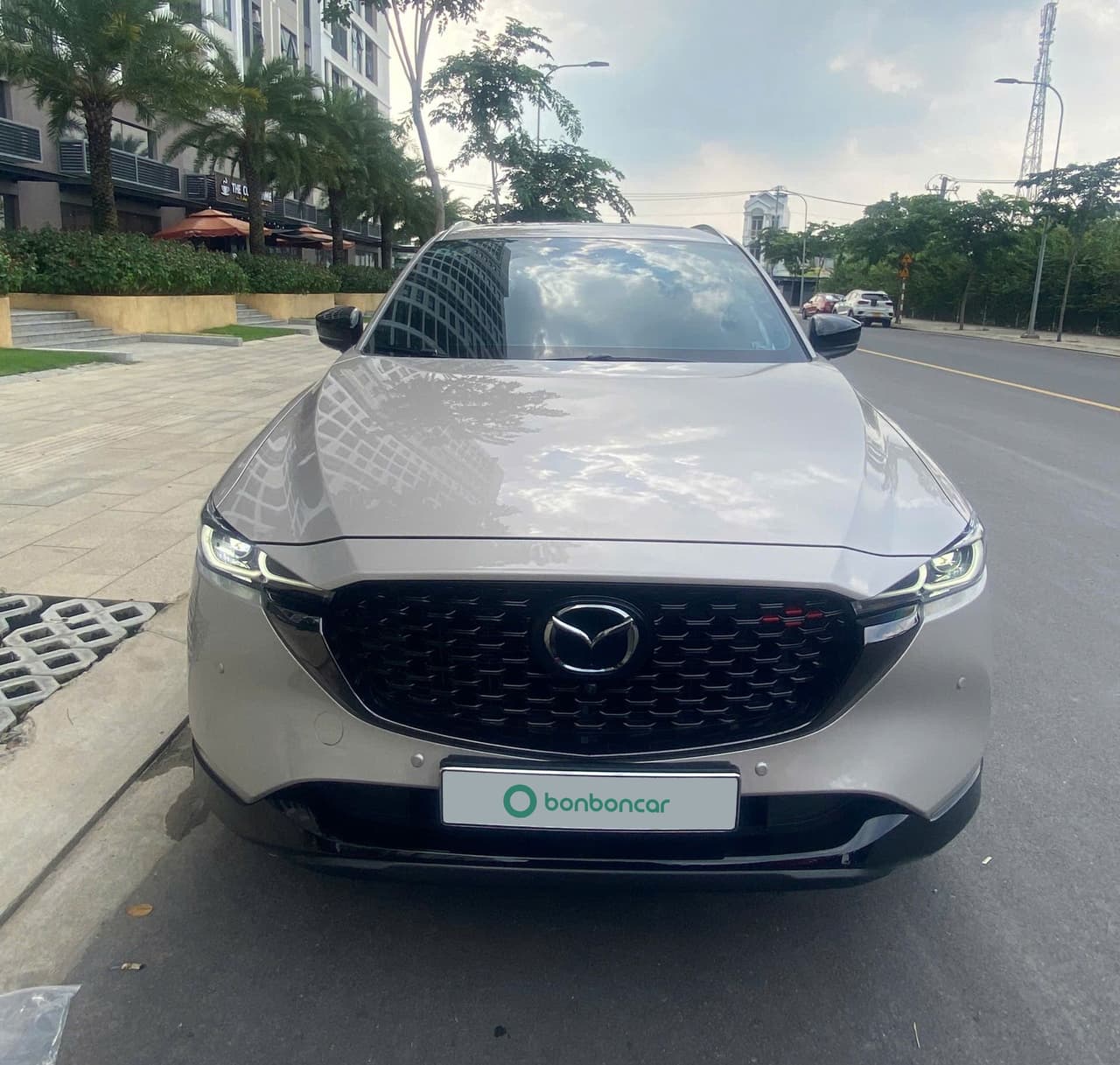 Hình ảnh 2 Image 2