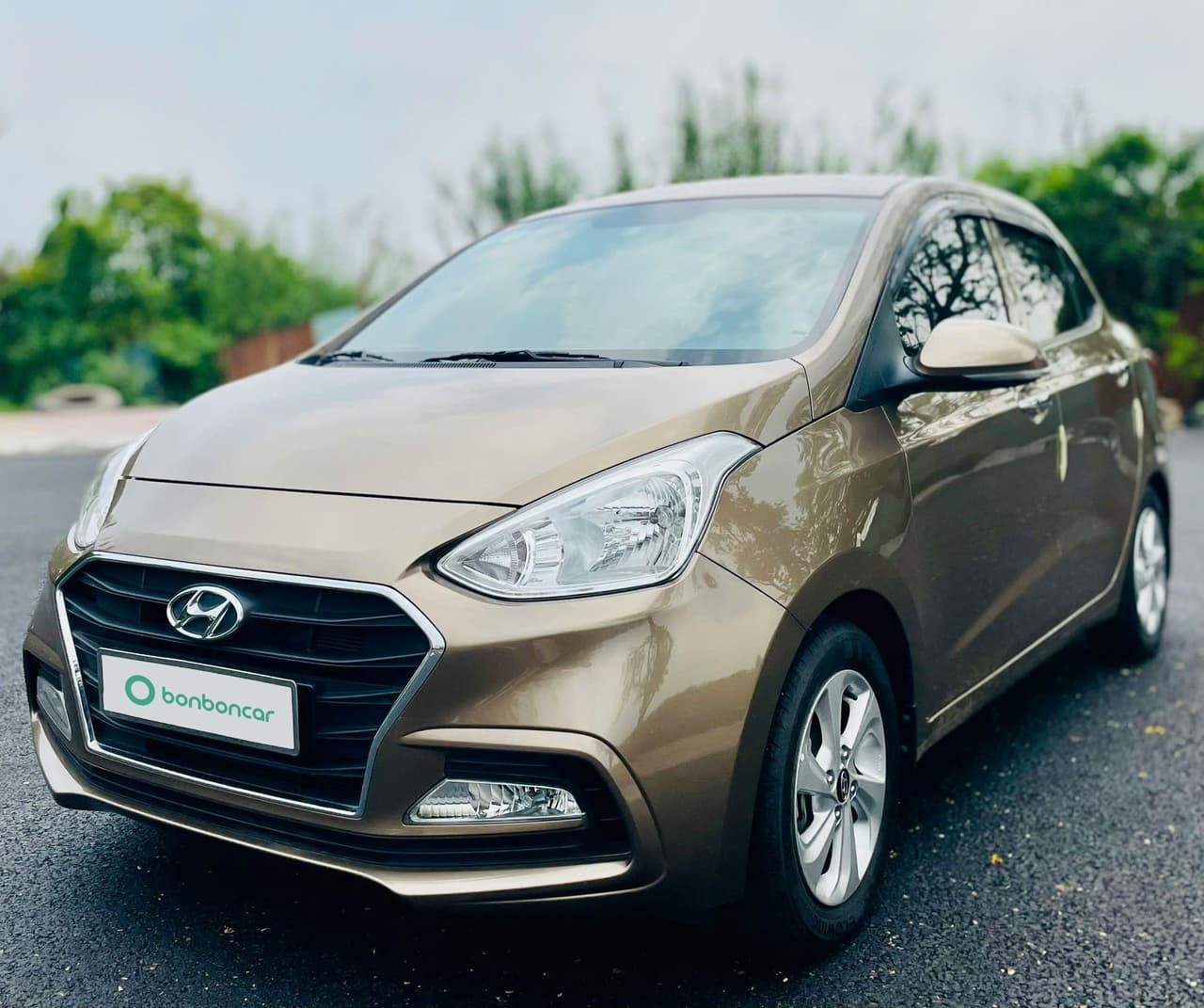 Hình ảnh 1 Image 1