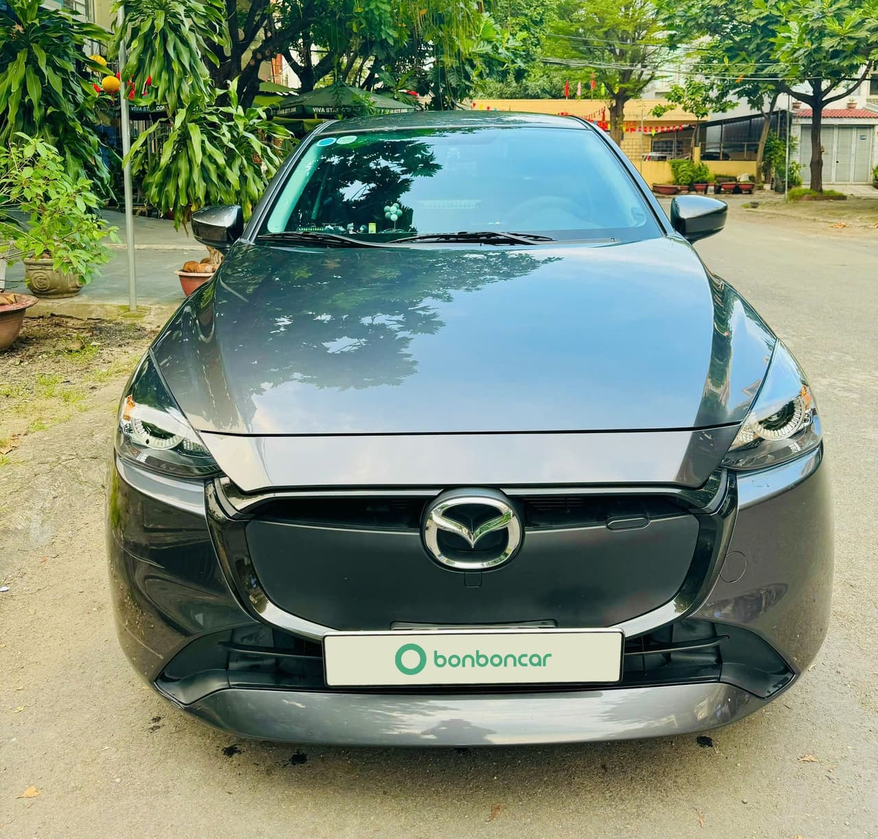 Hình ảnh 2 Image 2