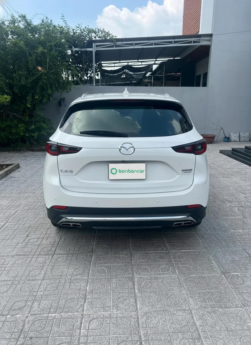 Hình ảnh 4 Image 4