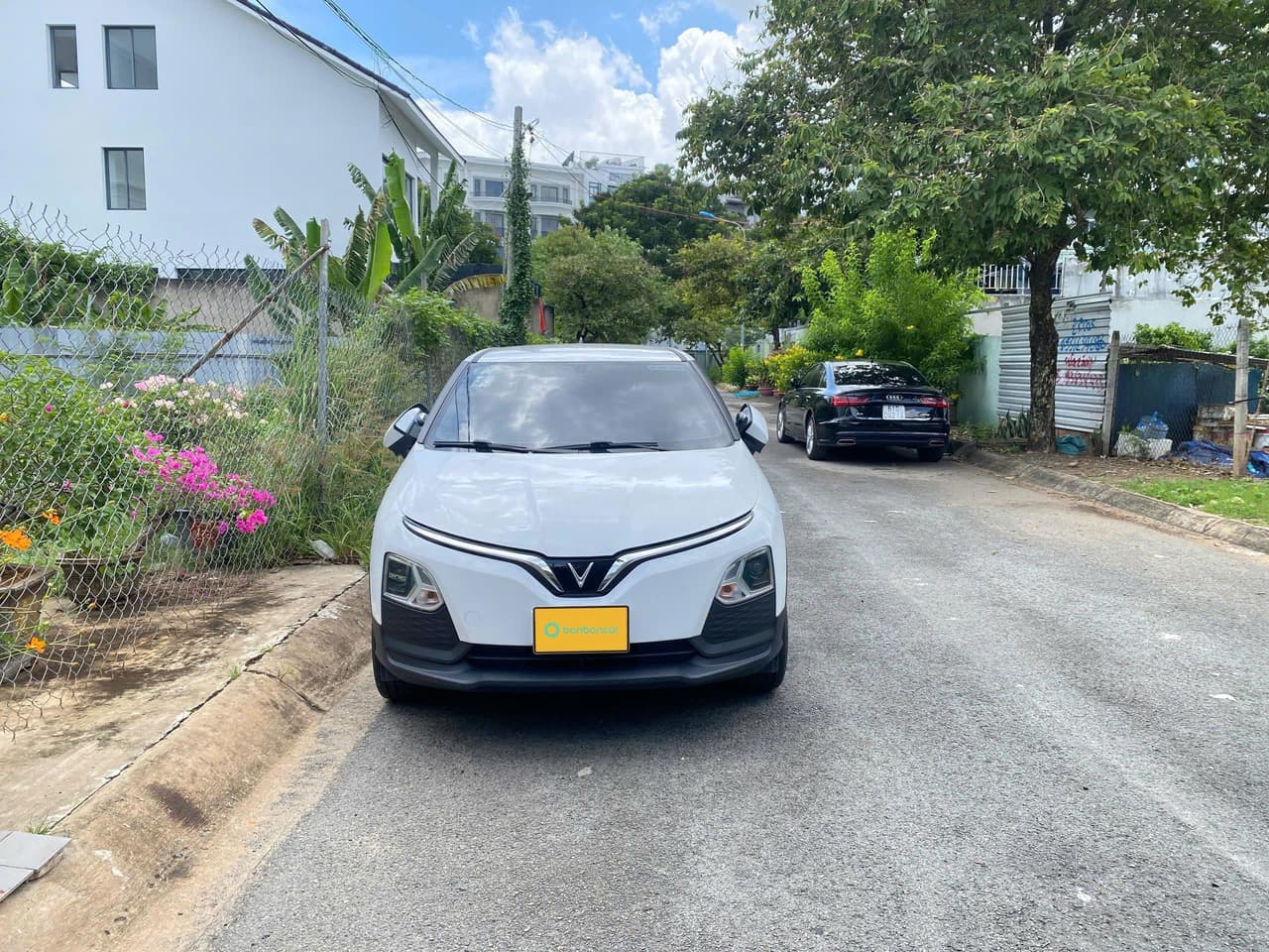 Hình ảnh 8 Image 8