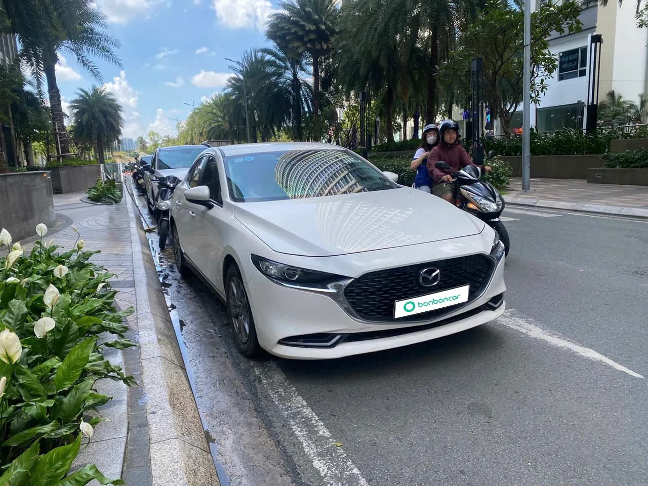 Hình ảnh 6 Image 6