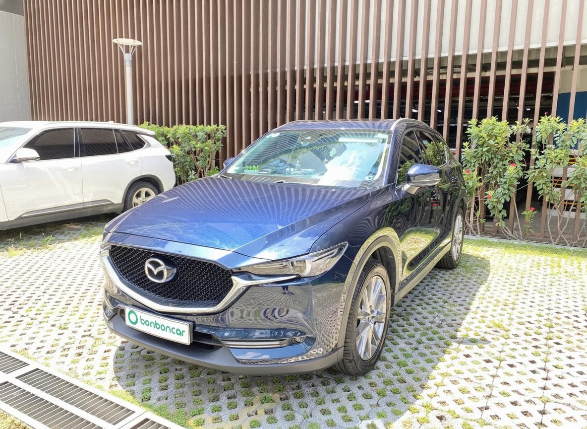 Hình ảnh 1 Image 1