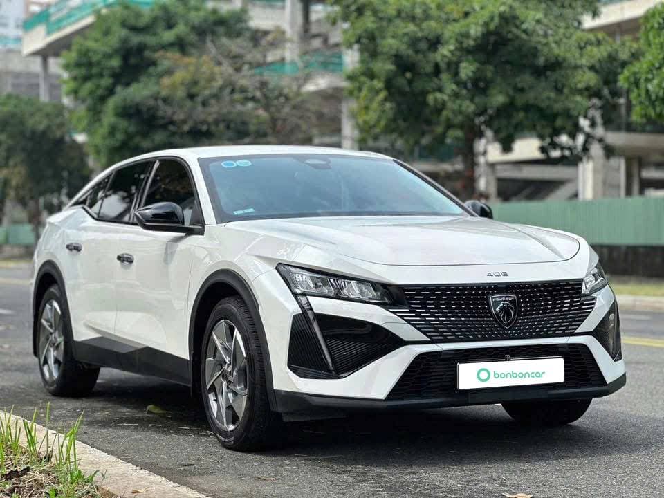 Hình ảnh 7 Image 7