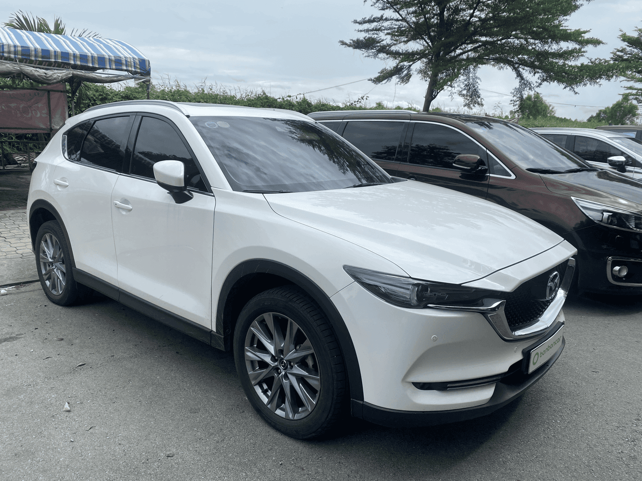 Hình ảnh 4 Image 4