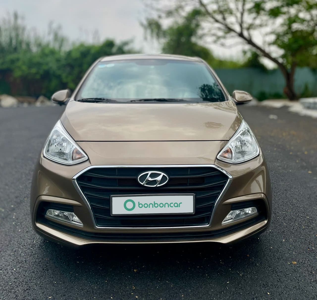 Hình ảnh 2 Image 2