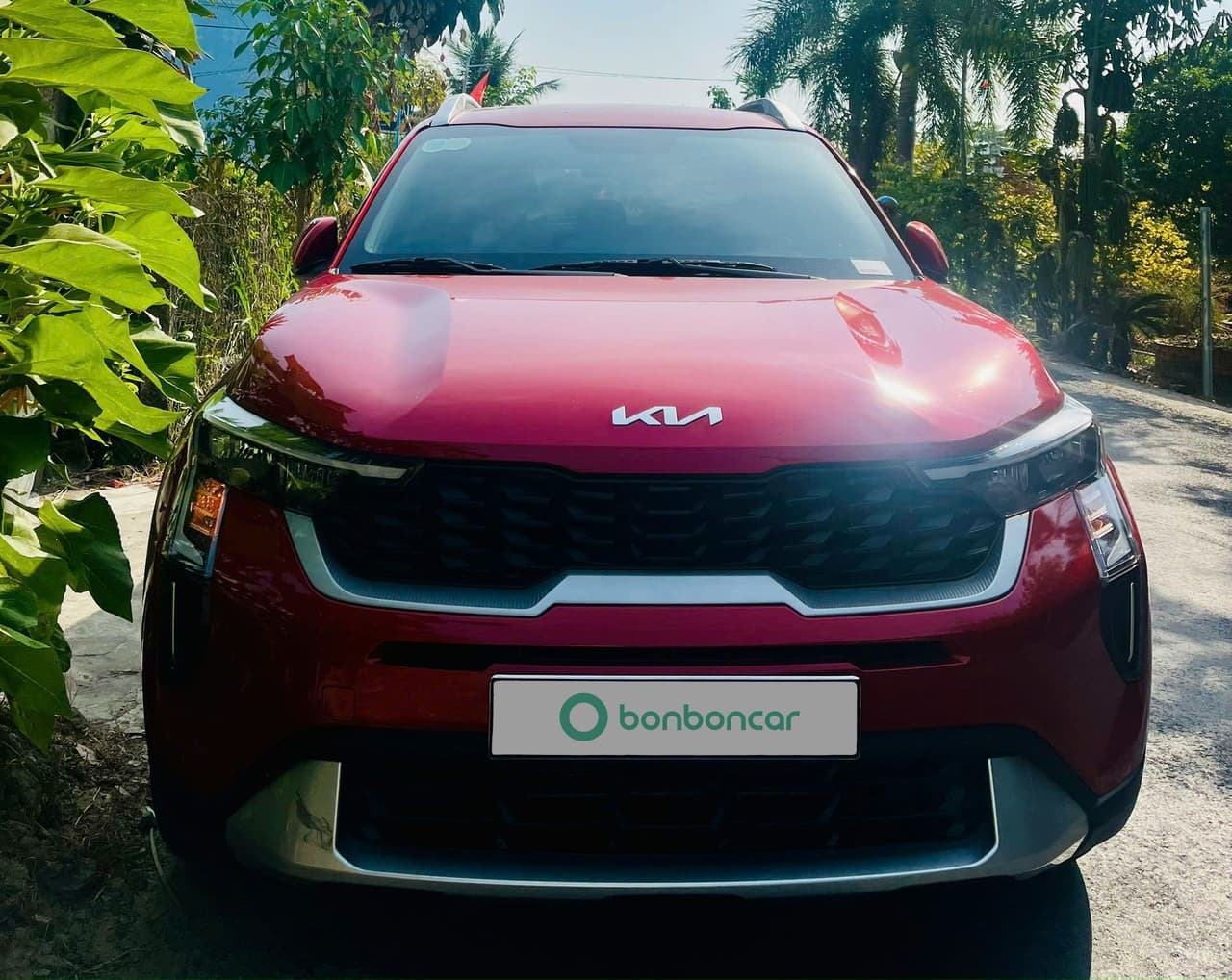 Hình ảnh 3 Image 3