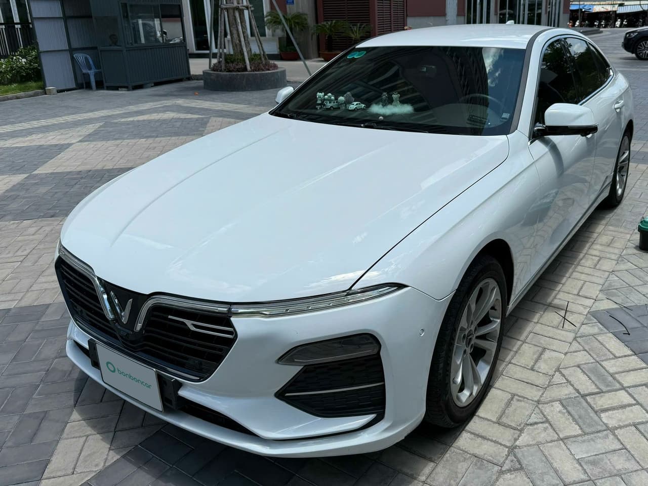 Hình ảnh 1 Image 1