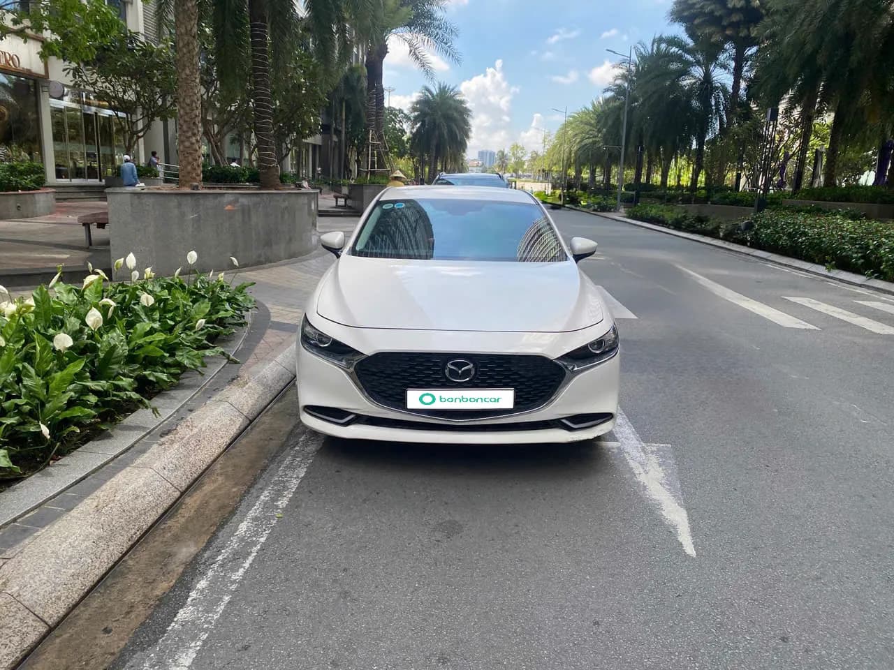 Hình ảnh 3 Image 3