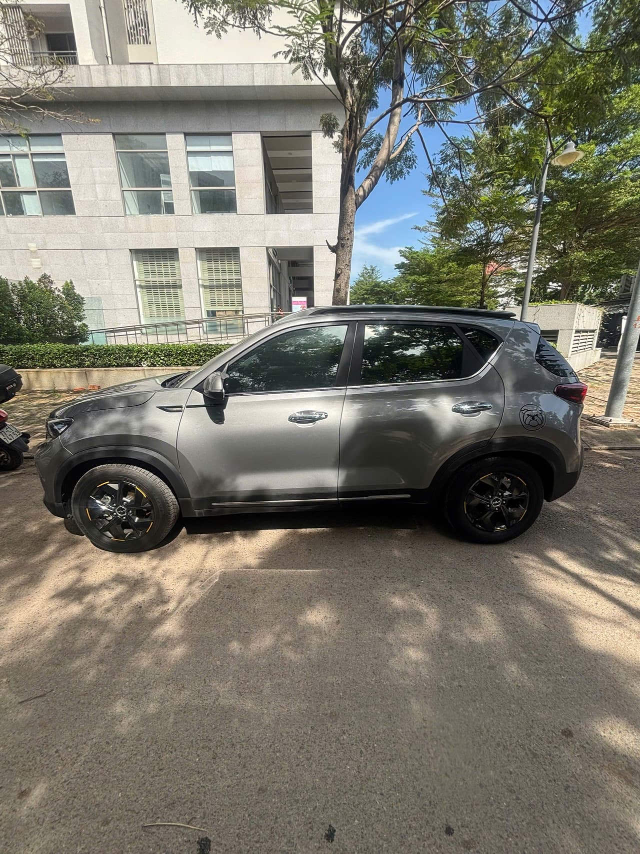 Hình ảnh 5 Image 5