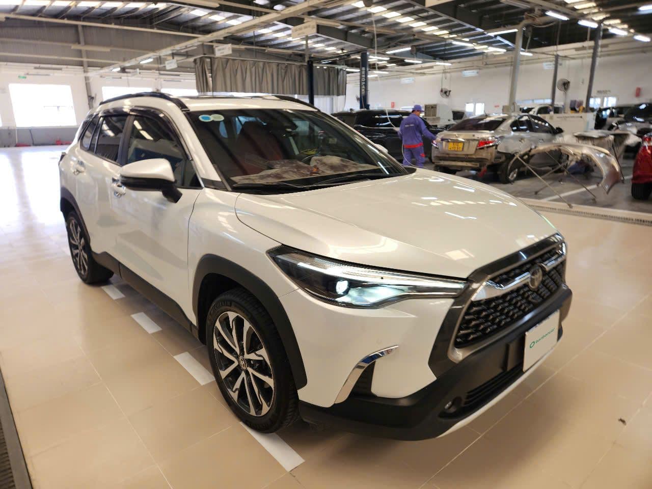 Hình ảnh 2 Image 2