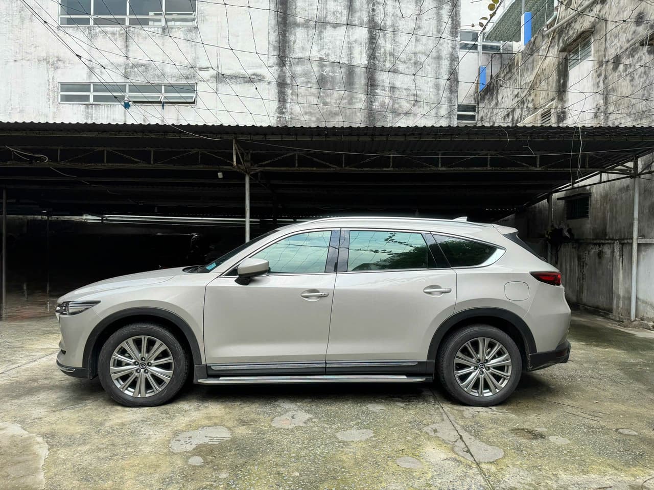 Hình ảnh 5 Image 5