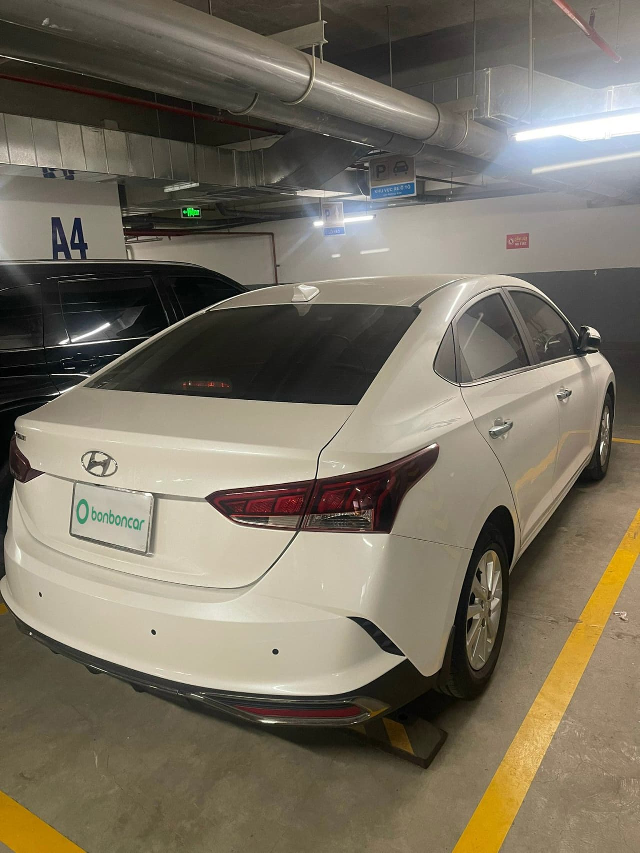 Hình ảnh 4 Image 4