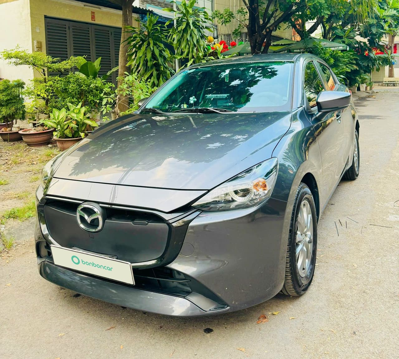 Hình ảnh 1 Image 1