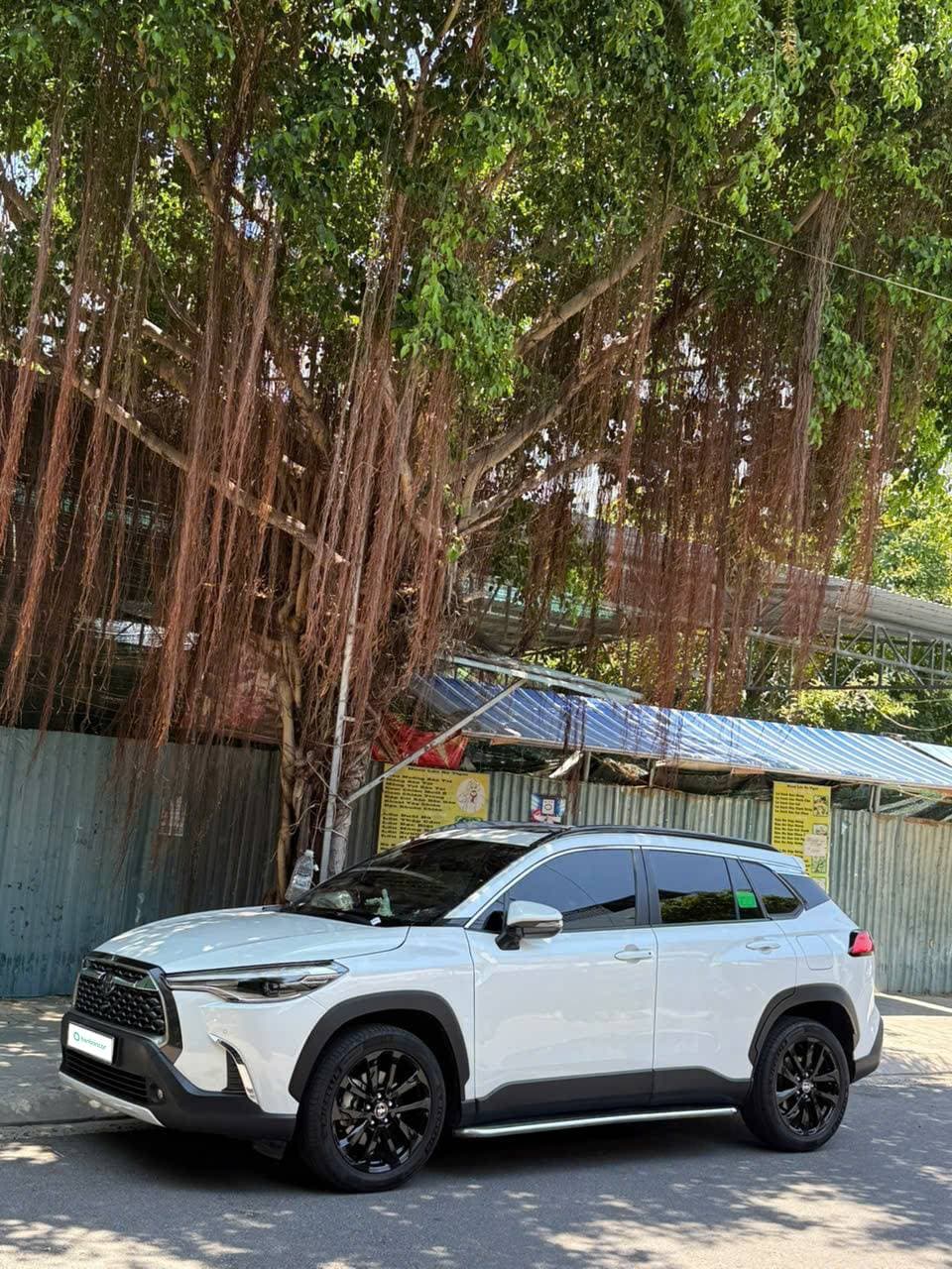 Hình ảnh 2 Image 2