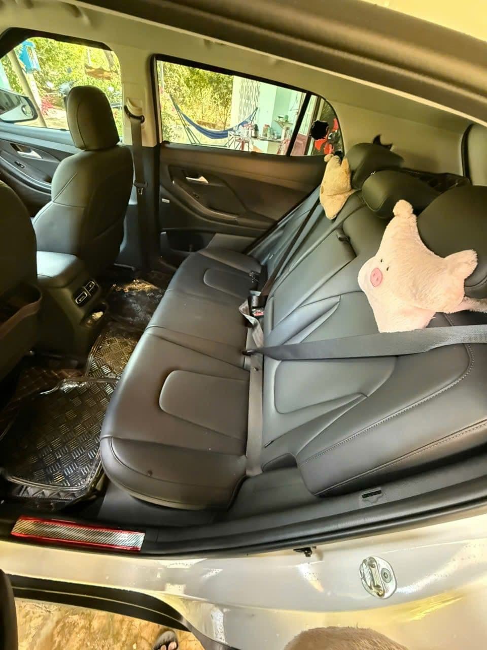 Hình ảnh 8 Image 8