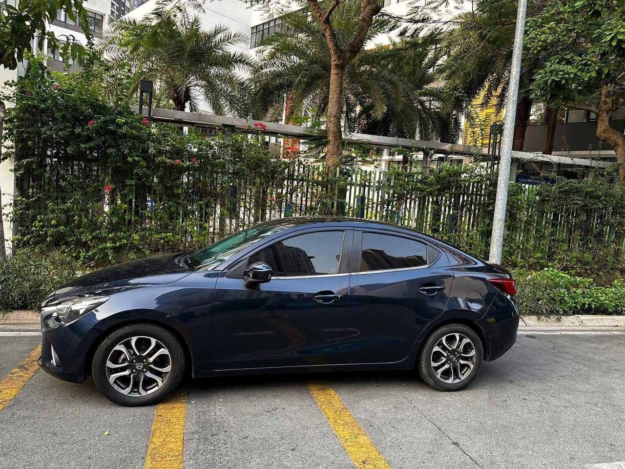 Hình ảnh 2 Image 2