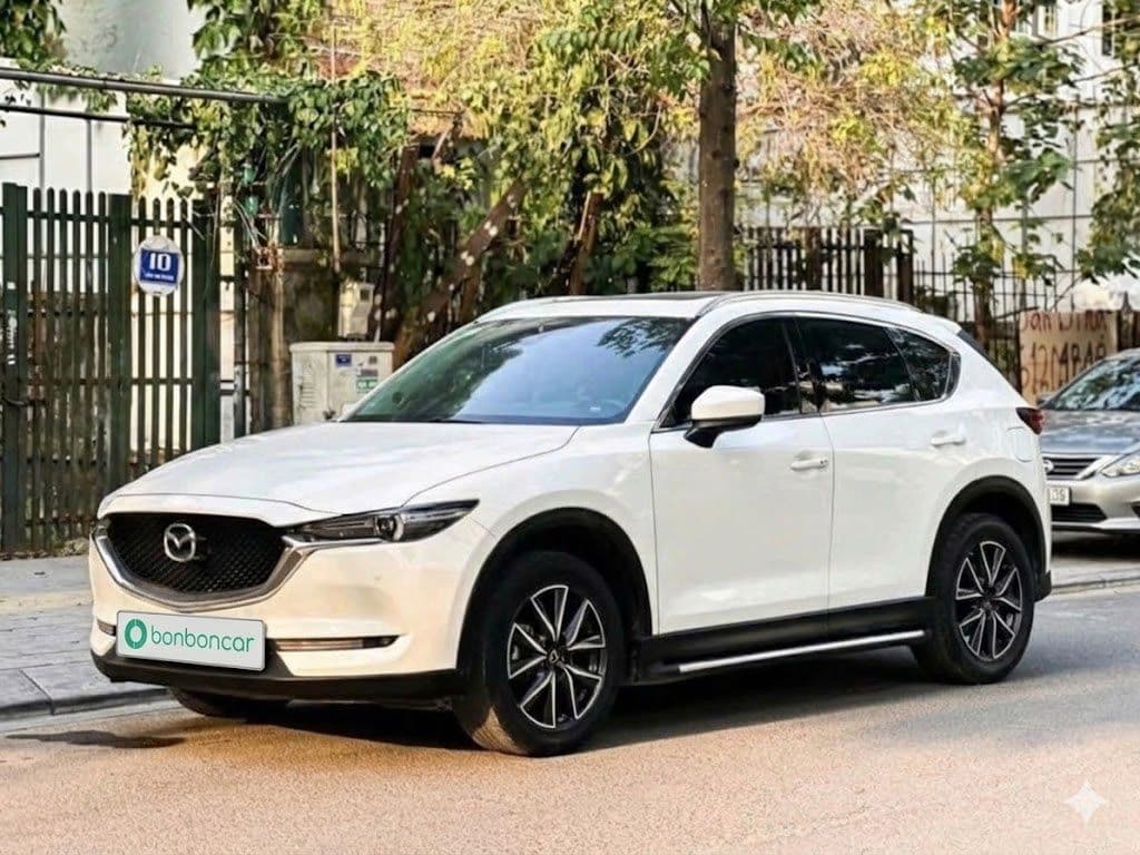 Hình ảnh 1 Image 1