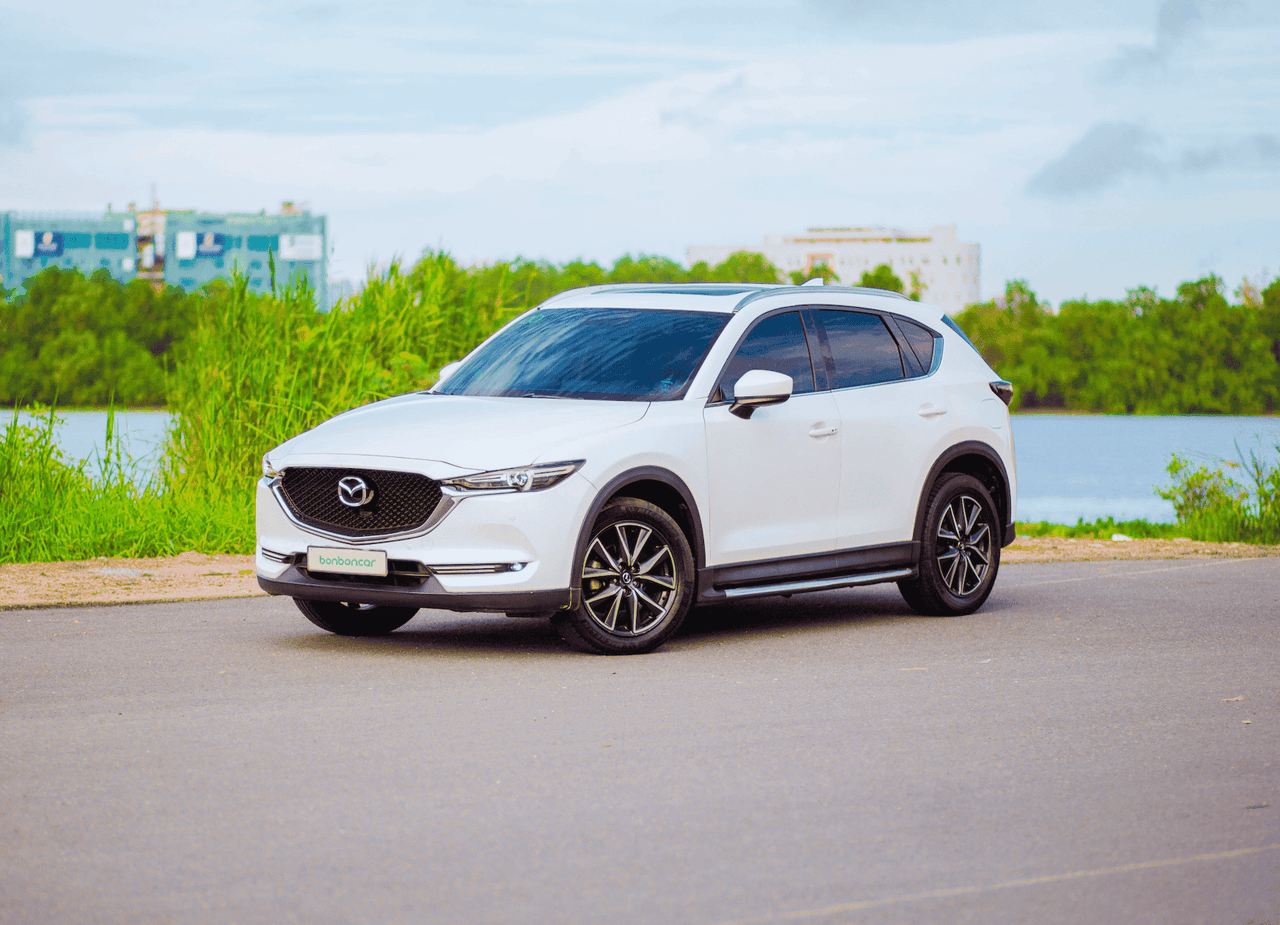 Hình ảnh 1 Image 1