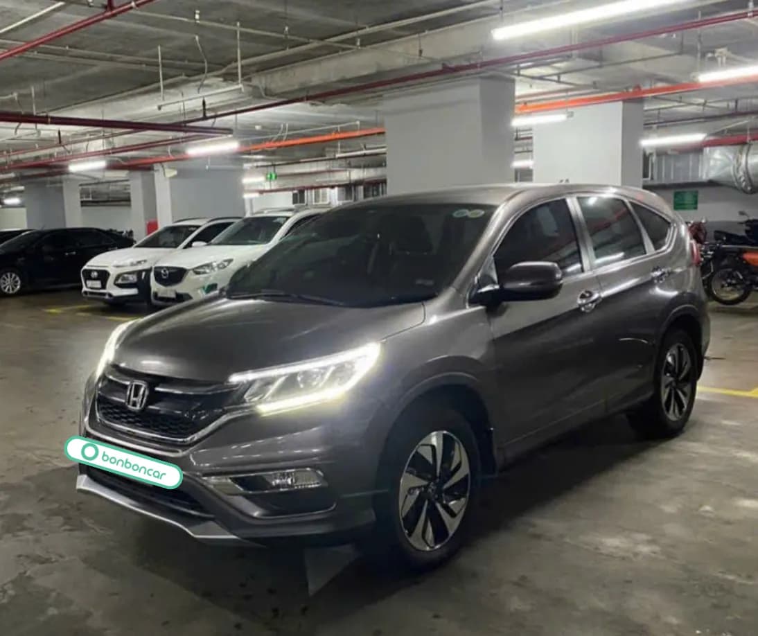 Hình ảnh 1 Image 1