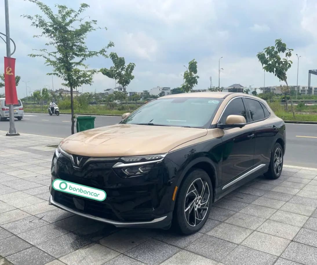 Hình ảnh 1 Image 1