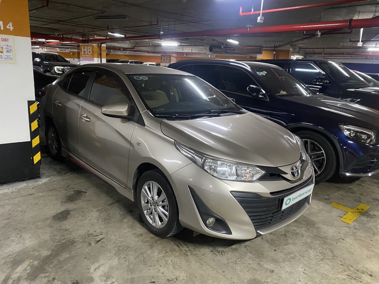 Hình ảnh 2 Image 2