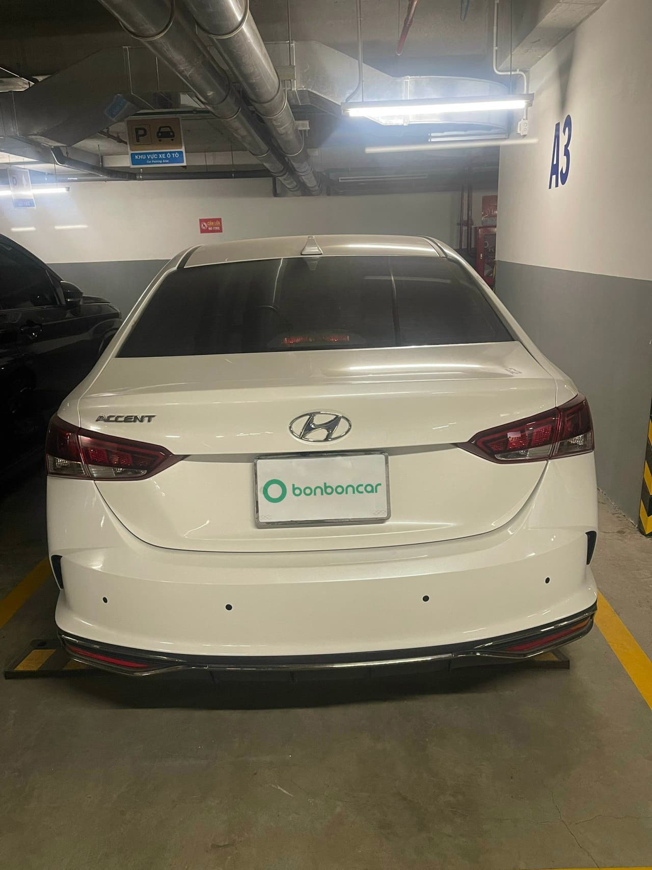 Hình ảnh 2 Image 2