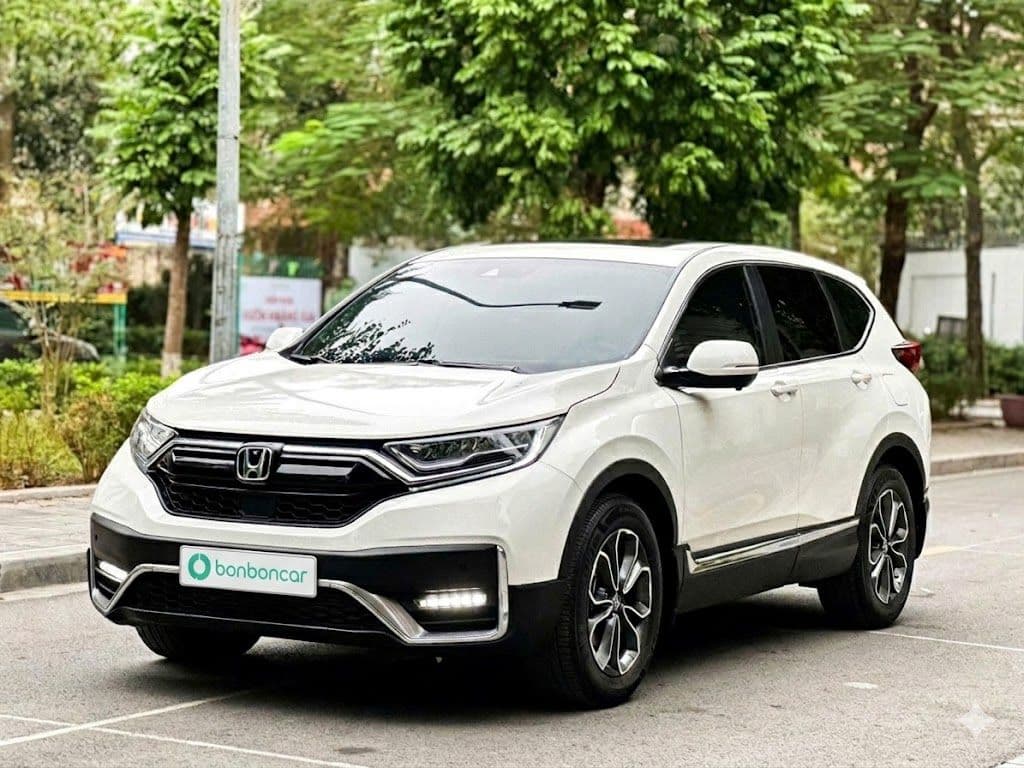 Hình ảnh 1 Image 1