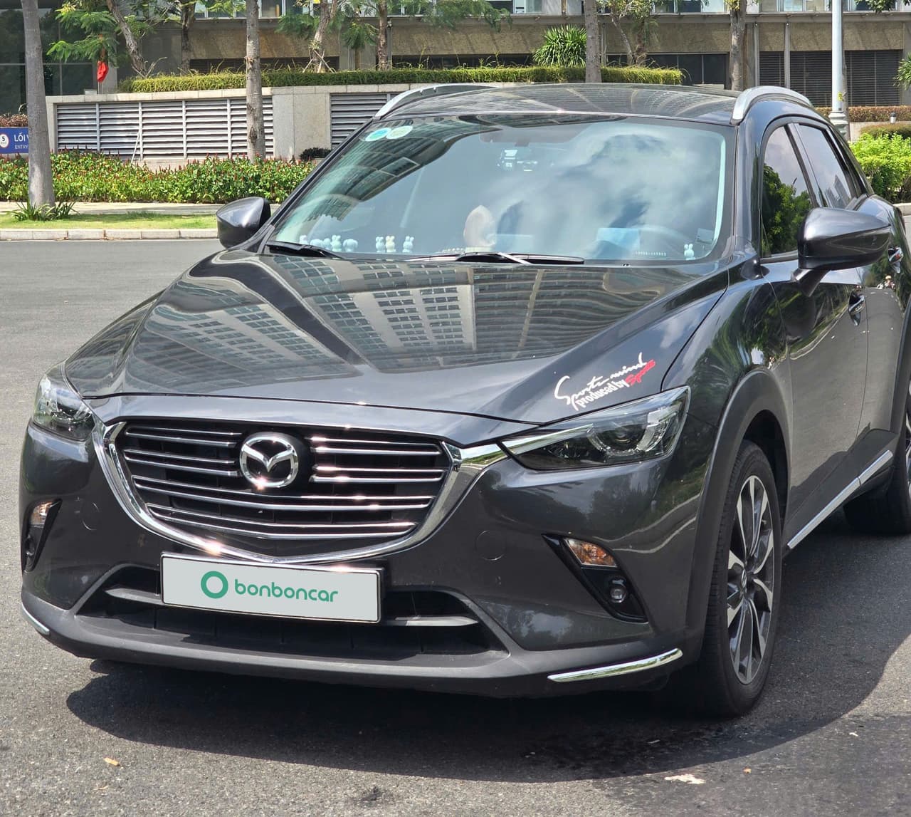 Hình ảnh 2 Image 2