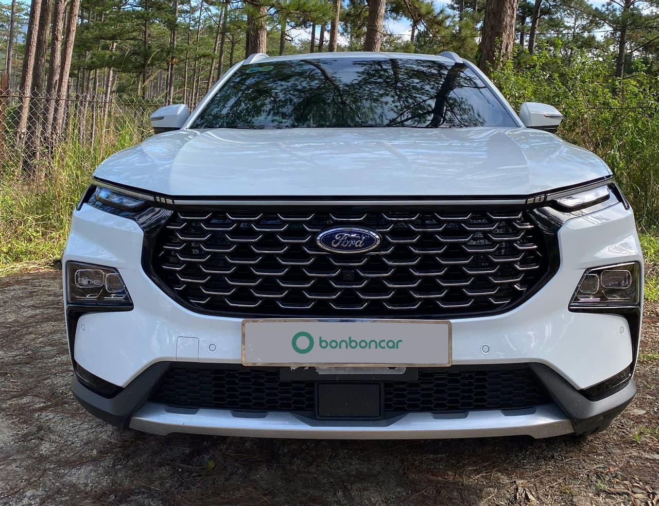 Hình ảnh 4 Image 4