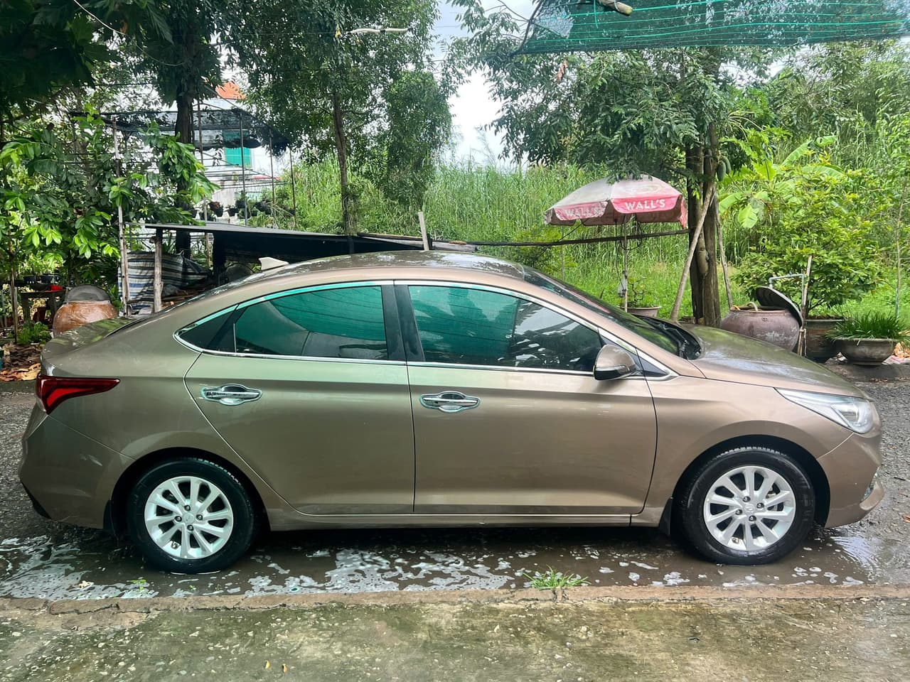 Hình ảnh 3 Image 3