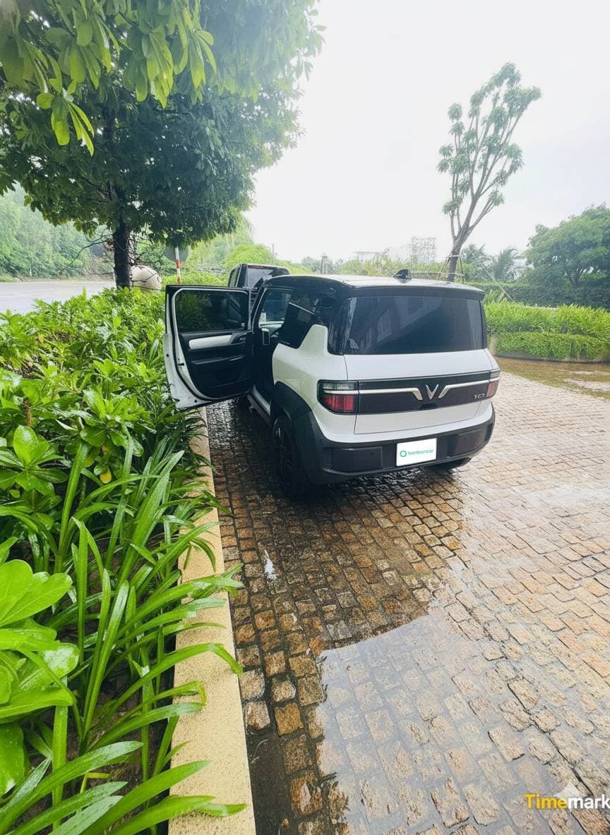 Hình ảnh 2 Image 2