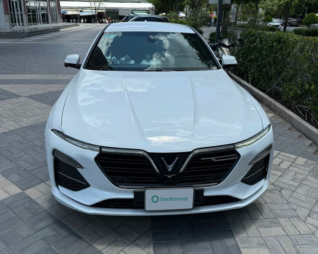 Hình ảnh 5 Image 5