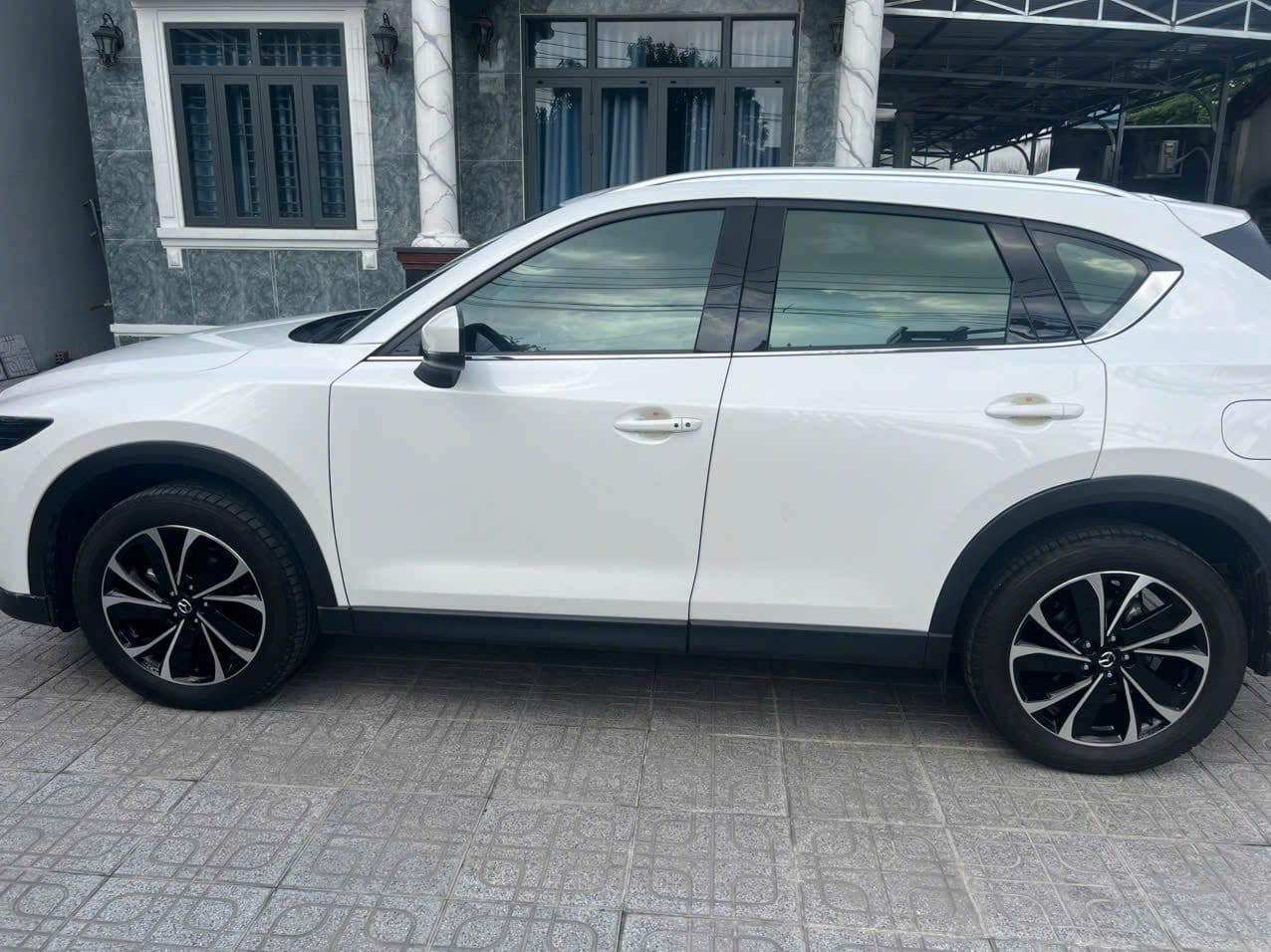 Hình ảnh 2 Image 2