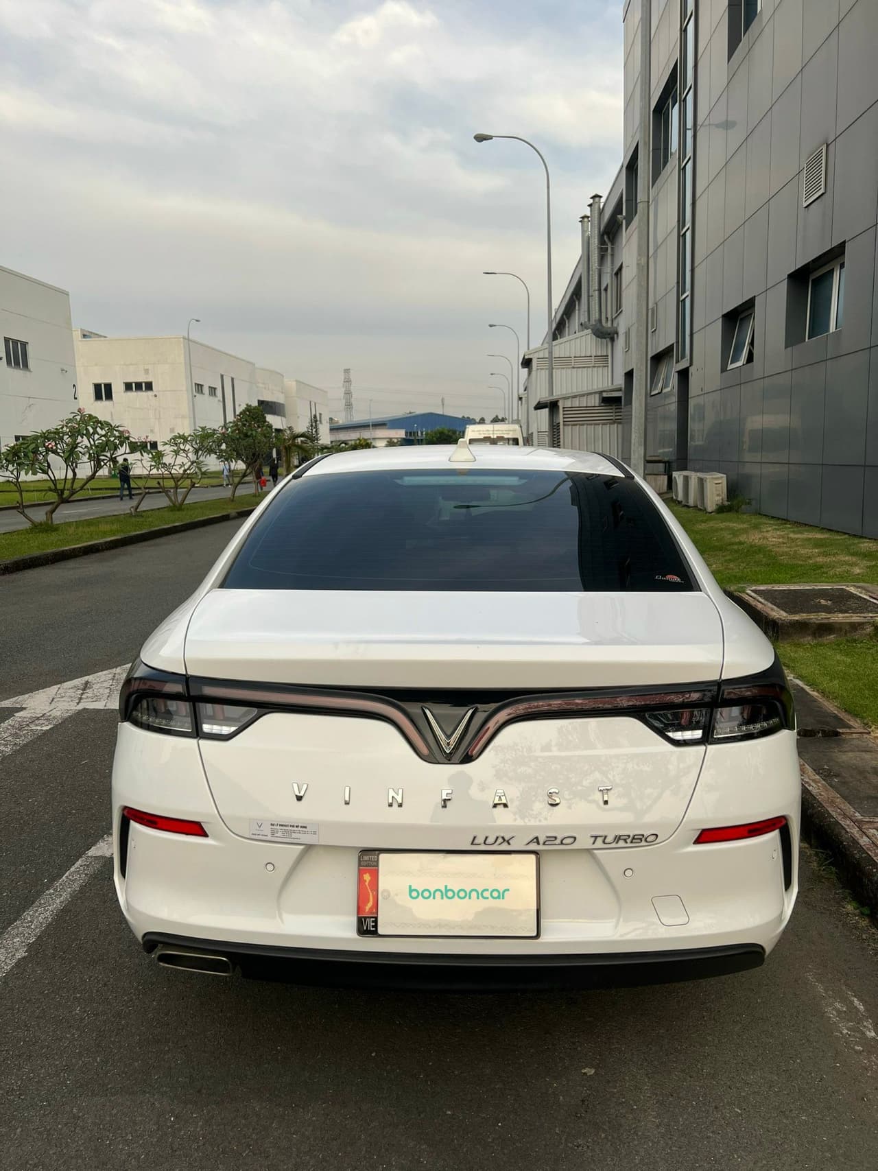 Hình ảnh 2 Image 2