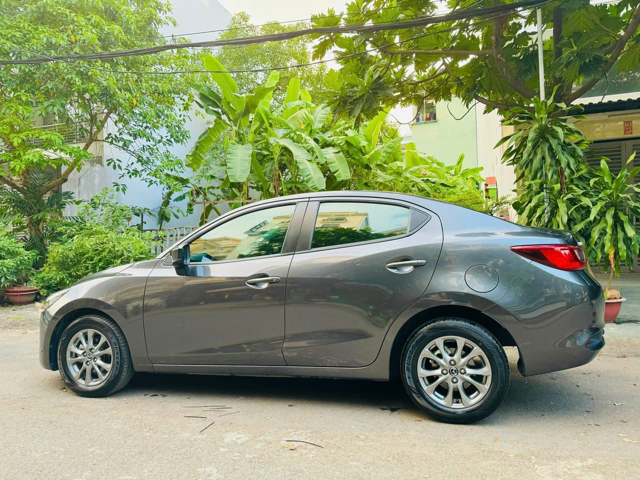 Hình ảnh 5 Image 5