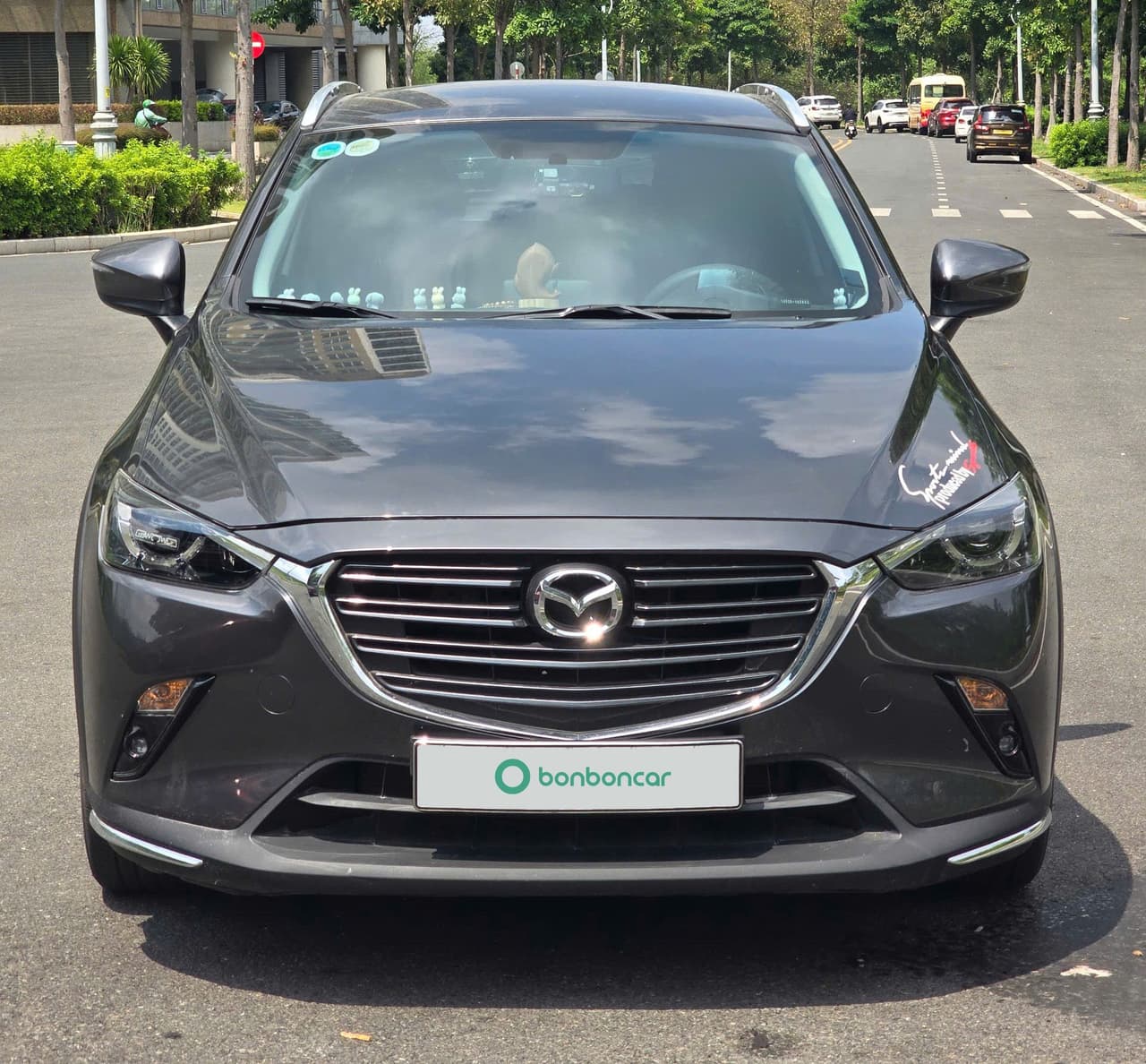 Hình ảnh 4 Image 4