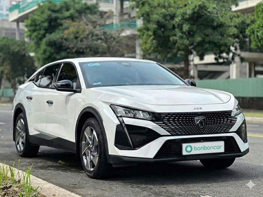 Hình ảnh 2 Image 2