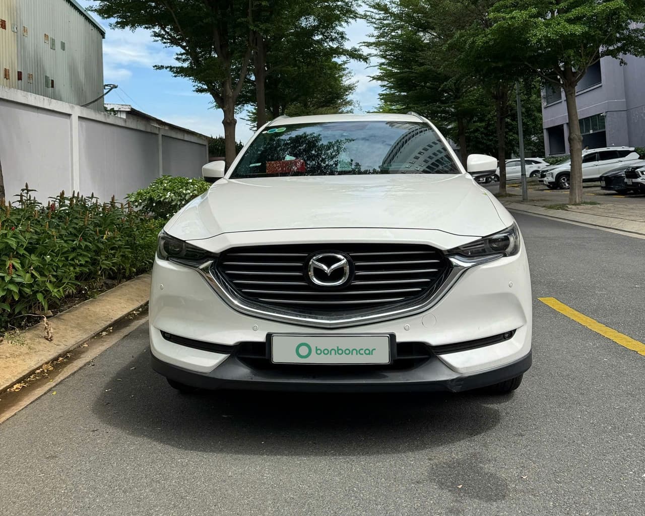 Hình ảnh 4 Image 4