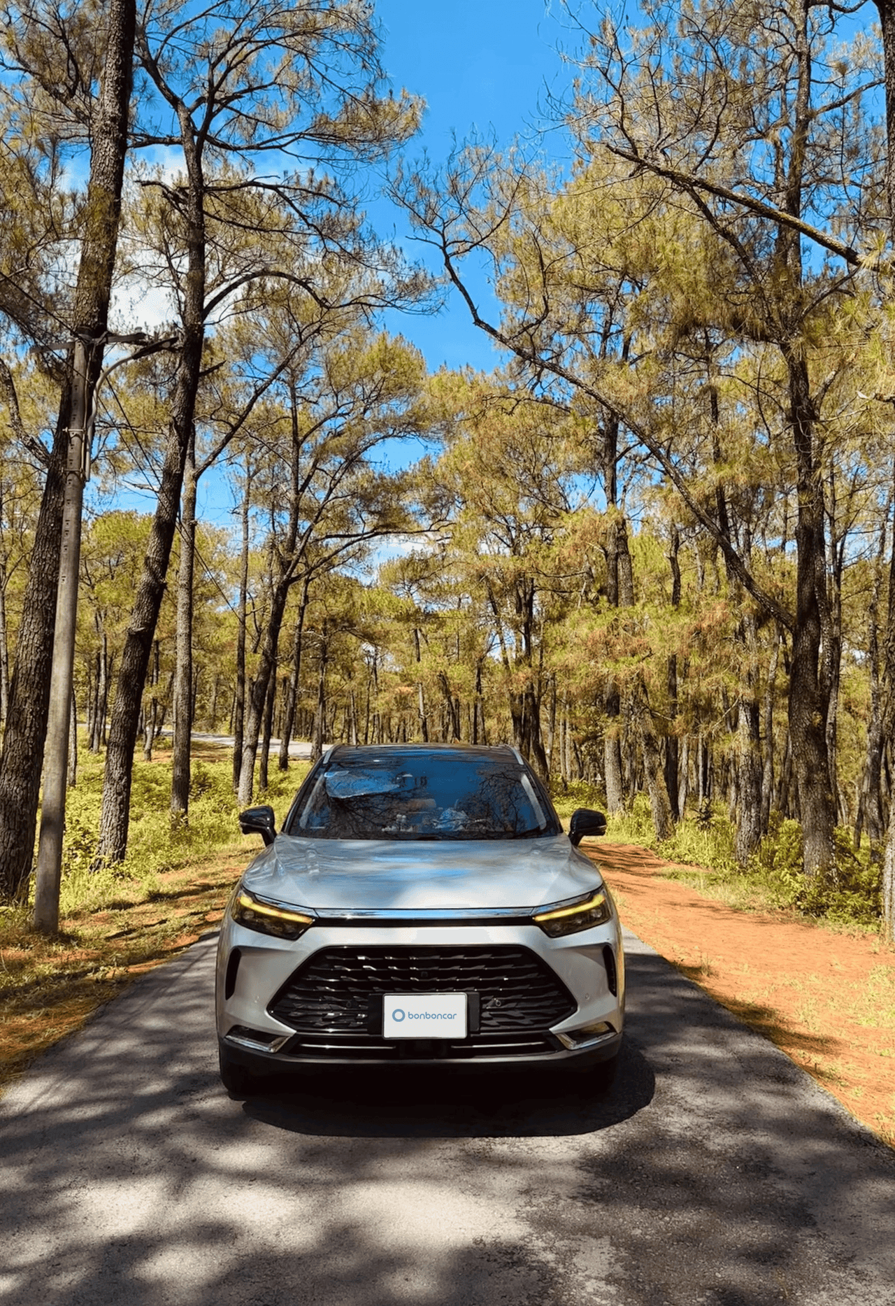 Hình ảnh 2 Image 2