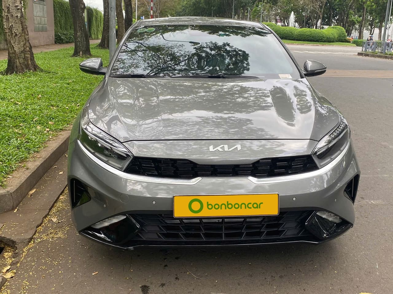 Hình ảnh 1 Image 1