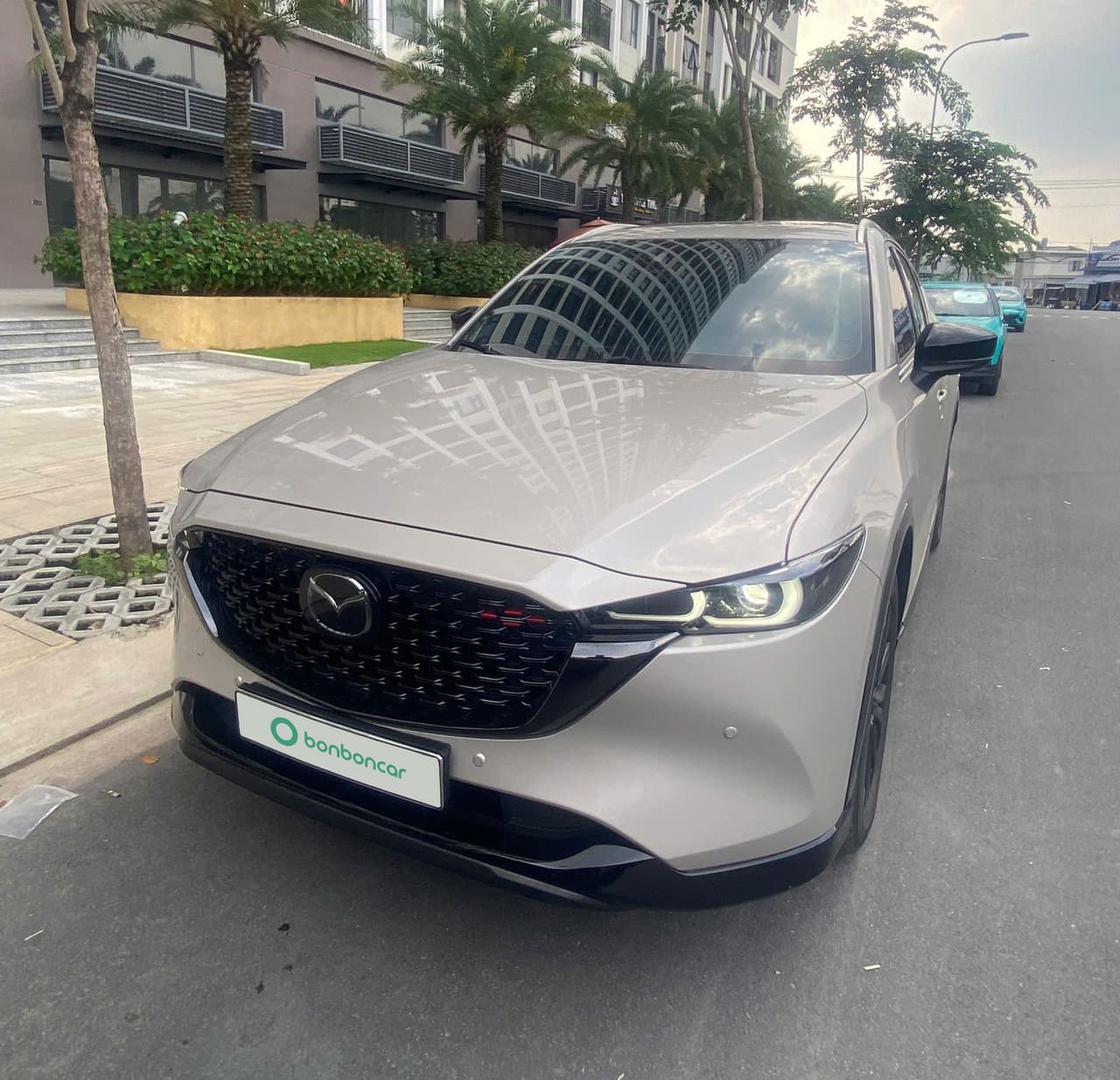 Hình ảnh 1 Image 1