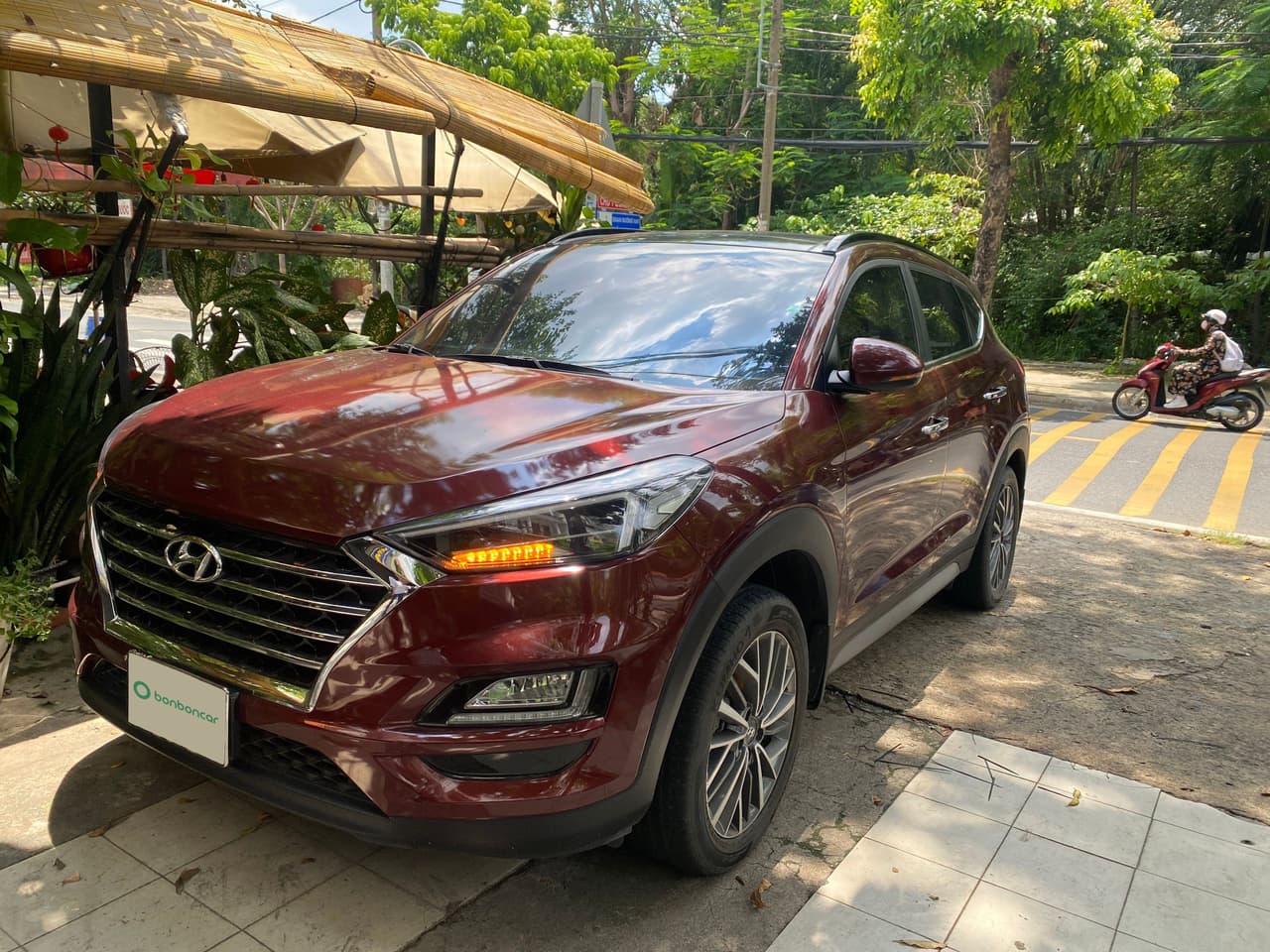 Hình ảnh 1 Image 1