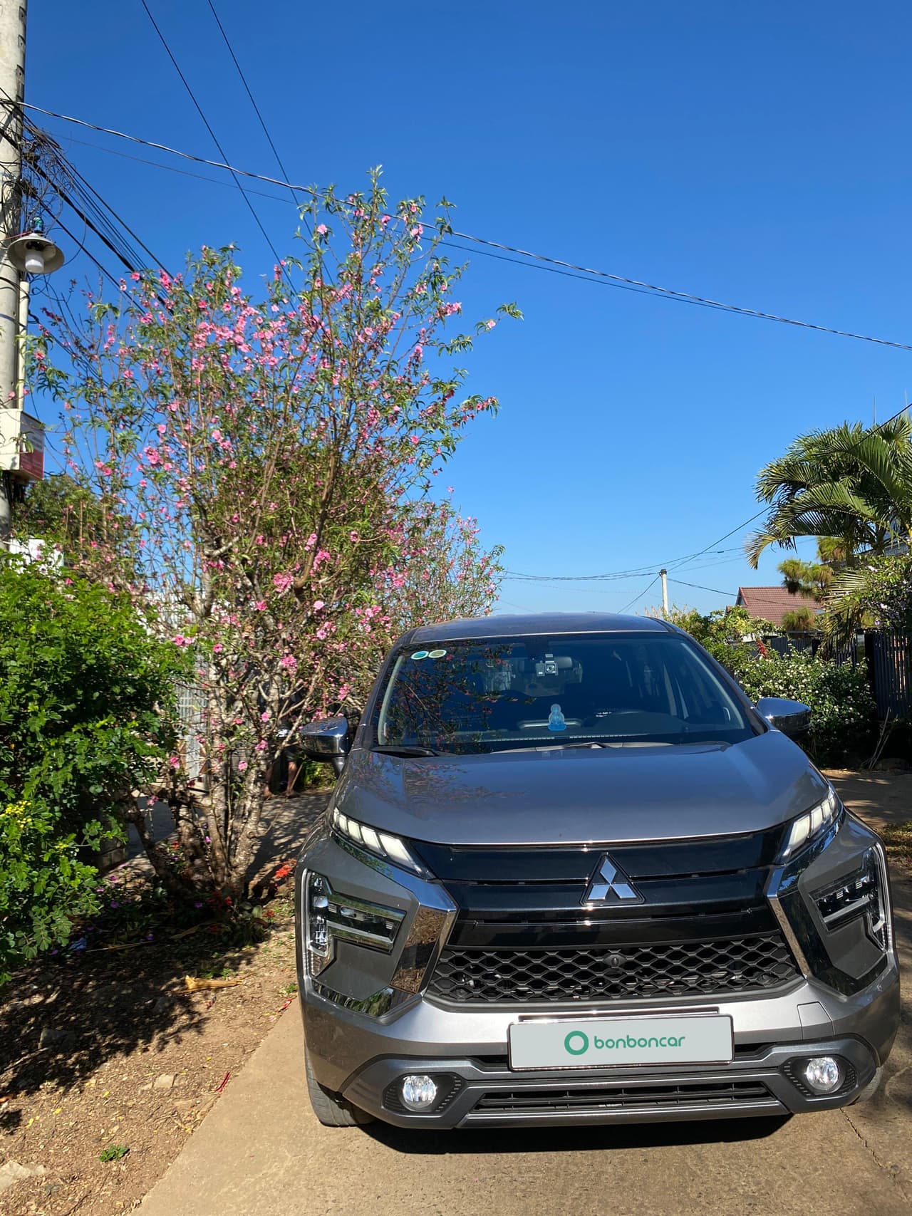 Hình ảnh 4 Image 4