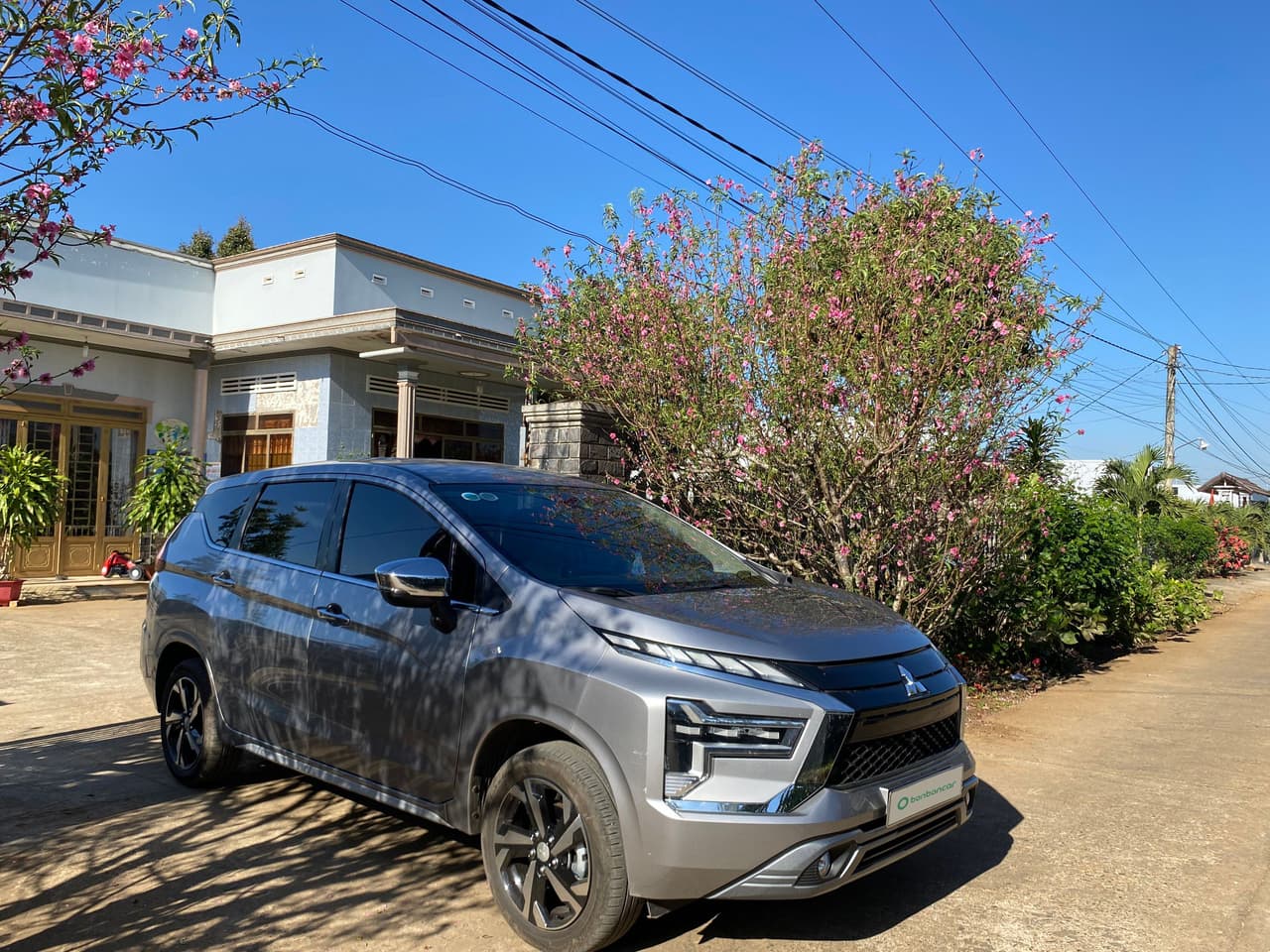 Hình ảnh 5 Image 5