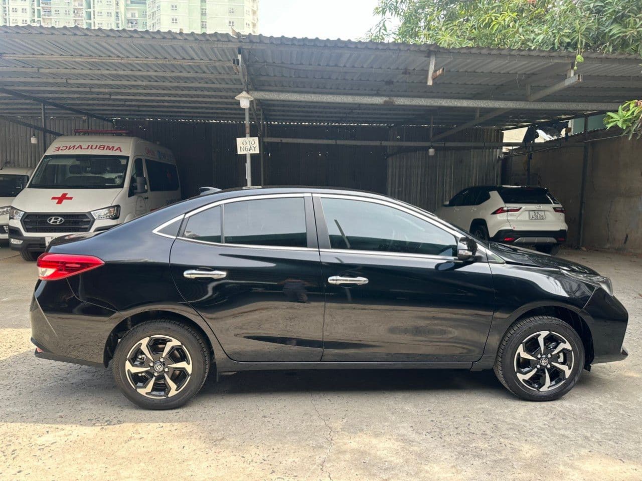 Hình ảnh 8 Image 8