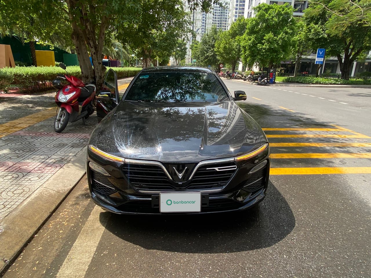 Hình ảnh 2 Image 2