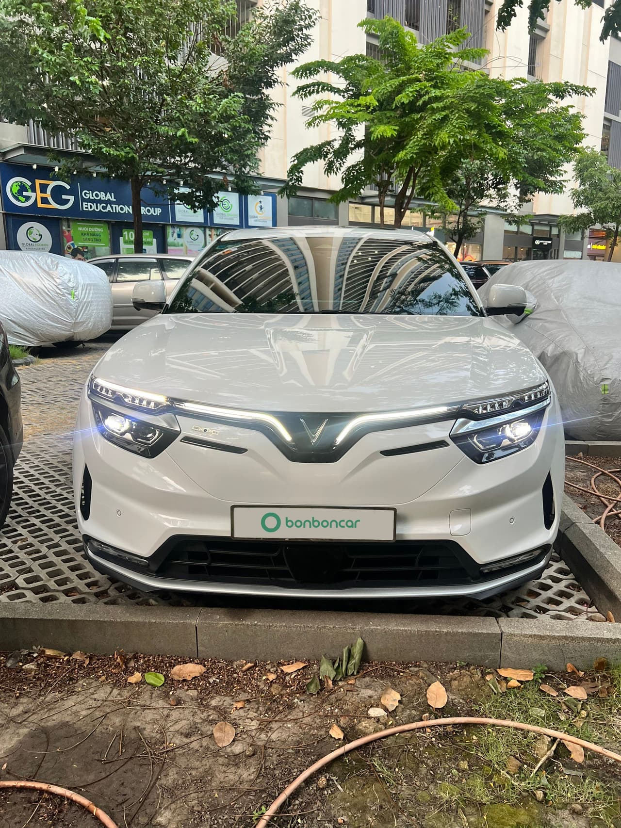 Hình ảnh 3 Image 3