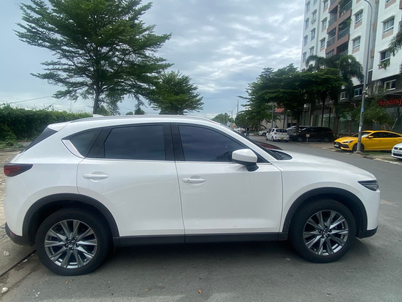 Hình ảnh 5 Image 5