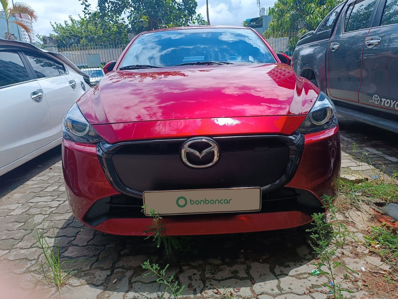 Hình ảnh 1 Image 1